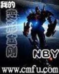 我的变形金刚小说阅读