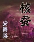 核蚕小说阅读