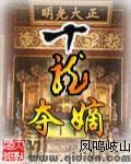十龙夺嫡小说阅读