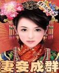妻妾成群小说阅读