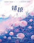错撩小说阅读