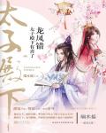 龙凤错：太子殿下有喜了小说阅读