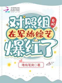 对照组女配在军旅综艺爆红了小说阅读