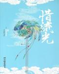 惜流光小说阅读