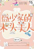 盛少家的木头美人小说阅读
