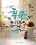 亲爱，我们再也回不去了小说阅读