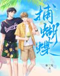 捕蝴蝶小说阅读