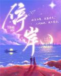 停岸小说阅读