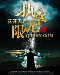 执掌无限小说阅读