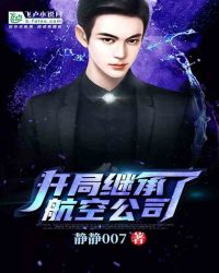 开局继承了航空公司