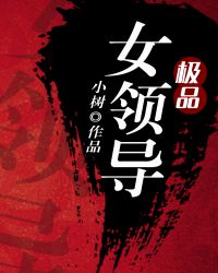 极品女领导