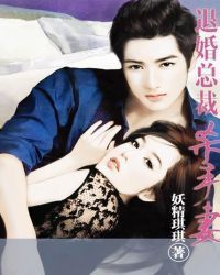 退婚总裁杀手妻