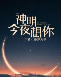 神明今夜想你小说百度云