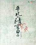 平凡的清穿日子
